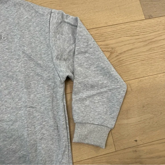 ALO Yoga Accolade Set Quarter Zip and Sweatpants Light Gray Unisex - Picture 8 of 16